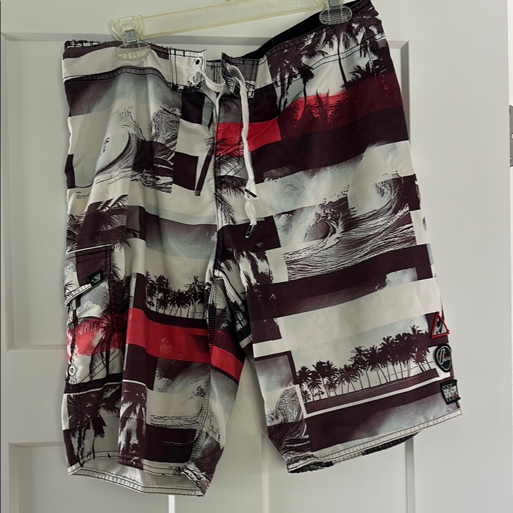 Men's Multicolor Swim Shorts